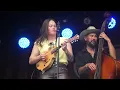 The Brothers Comatose  w/ AJ Lee Sing "Harvest Moon" (Neil Young)  Merlefest, Wilkesboro,NC 04.28.23