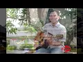 Download Lagu Ragmad Amatstam Soul Mix