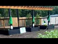 Urban Roots hosts ribbon-cutting