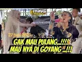 Download Lagu PENGANTINNYA - LANGSUNG TANCAP GASSSS ‼️ ITING MANAGEMENT GROUP