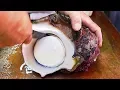 ALIEN SEA SNAIL Japanese Street Food
