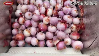 Vegetable Peeler Machine / Onion Peeler Machine / Commercial Vegetable Peeler Machine