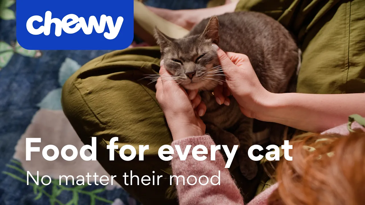 Chewy — Chewy — Cat Food and Treats (YouTube video ad)