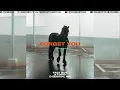 Fast Boy & Topic - Forget You (B-sensual Mix)