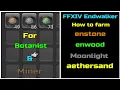FFXIV Endwalker How to farm endwood moonlight endstone aethersand For Miner botanist