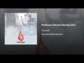 Birdman (Steven Stanley Mix)