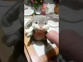 Dandee animated ear flapping grey Easter bunny