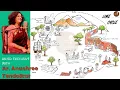 SD EXCLUSIVE Lime Cycle explained The Eco-Magic Behind Carbon Neutral by Ar Anushree Tendolkar