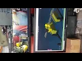 Python SPG Graphic Display