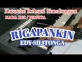 Download Lagu KARAOKE ANGGO HUPIKKIRI GOLUHKON NADA WANITA EDDY SILITONGA ( RIGAPANKIN )