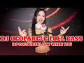 Download Lagu DJ COLOURFUL DAY WITH YOU - DJ OCOPAKELE FULL BASS SOUND Nuntida Cheangna VIRAL TIK TOK TERBARU 2024