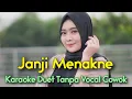 Download Lagu JANJI MENAKNE Karaoke Duet Tanpa Vocal Cowok || Gilga Feat Mira Putri || Voc Minthul