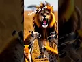 Download Lagu Lion Chases Hyenas: A Thrilling Showdown in the Wild