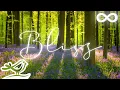 Download Lagu Bliss: Prachtige Ontspannende Muziek met Fluit, Piano, Gitaar en Vogelgeluiden