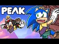 Download Lagu Sonic \u0026 Shadow Play PEAK!!
