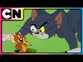 Download Lagu Tom and Jerry 😺🐭| T \u0026 J’s Summer Escapades! ☀️| Cat and the Mouse | Animated Cartoon 😍| @cnindia