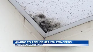 Hawaii DOE working on solutions to health concerns at Big Island school