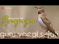 Download Lagu BRANJANGAN MONGOL GACOR (MONGOLIAN LARK) ISIAN GREJAAN KENARI PRENJAK JANGKRIK PLECI SOGON CILILIN