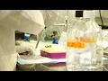 About Us Cell Signaling Technology CST