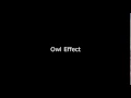 Audio Effect | Animal | Owl Effect | efek suara burung hantu