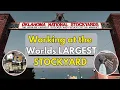 The WORLDS LARGEST Stockyard OKC Stockyards Cattle Auction