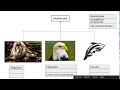 Tutorial Java untuk Pemula Bahasa Indonesia - 35 Override Method