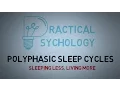 Polyphasic Sleep Cycles - Uberman Dymaxion and Everyman Sleep Schedules