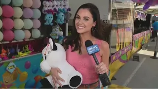 NewsNation at the Indiana State Fair Rush Hour
