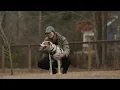 Choose from 1000s of private dog parks
