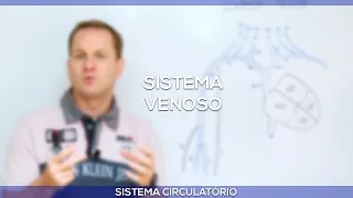 Veias do pescoço e membros superiores