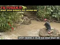 Download Lagu ASTAGA.!!! SPOT INI IKANNYA BESAR BESAR SEMUA || MANCING PAKAI UMPAN MURAHAN HASILNYA SULTAN BRO