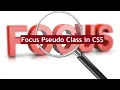 Focus Pseudo Class CSS Tutorial for beginners and intermediates CSS Animation Tutorial 2021