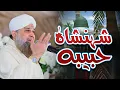 Lagu Shehanshah Habiba Madine Diya - Owais Raza Qadri - 2023