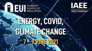 Circular carbon economy Adam Sieminski Noura Mansouri
