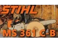 MS 361