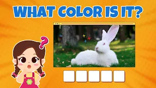 Guess The Color What Color Is It Color Game for Kids