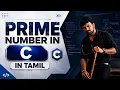 Prime Number Program in C programming in Tamil IT Company Interview Questions Series 2026