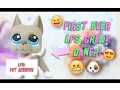LPS First Ever Great Dane Pet More Haul