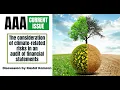 Current issue in AAA - Climate risk and the auditor
