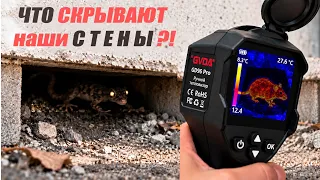 Купил ТЕПЛОВИЗОР и увидел... ?? 😱