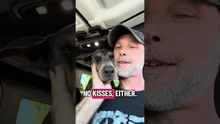 Daily life with a Doberman #fyp #dream #doberman #pets #youtube