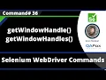 getWindowHandle getWindowHandles switchTo and window - Selenium WebDriver Commands
