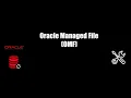 Oracle Managed File OMF