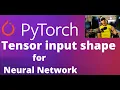 52 - Input Shape of Tensor in Neural Network for PyTorch Deep Learning Machine Lerning