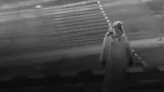 مرثية   يابوي ليت الناس لا غبت يدرون   دحام الضحيك   حصريا         دندنها
