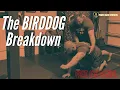 The Birddog Breakdown feat Ian Daniel McGill Big 3
