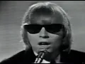 The Yardbirds - For Your Love (Shindig 1965)