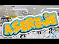 Download Lagu Blanka - Asereje ( Airplane Mode )#trendingsong #zumba #zumbafitness #dancefitness #blazecrew