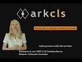 Introduction Seismic Coloured Inversion