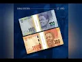 YOUNG STUNNA X BLUE PAPPI IMALI ENTSHA (Unofficial lyrics video)